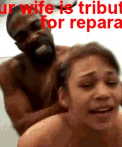 you watch as your wife 's pussy is smashed for reparations